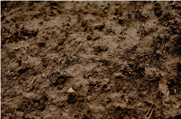 skid steer silt fence installers